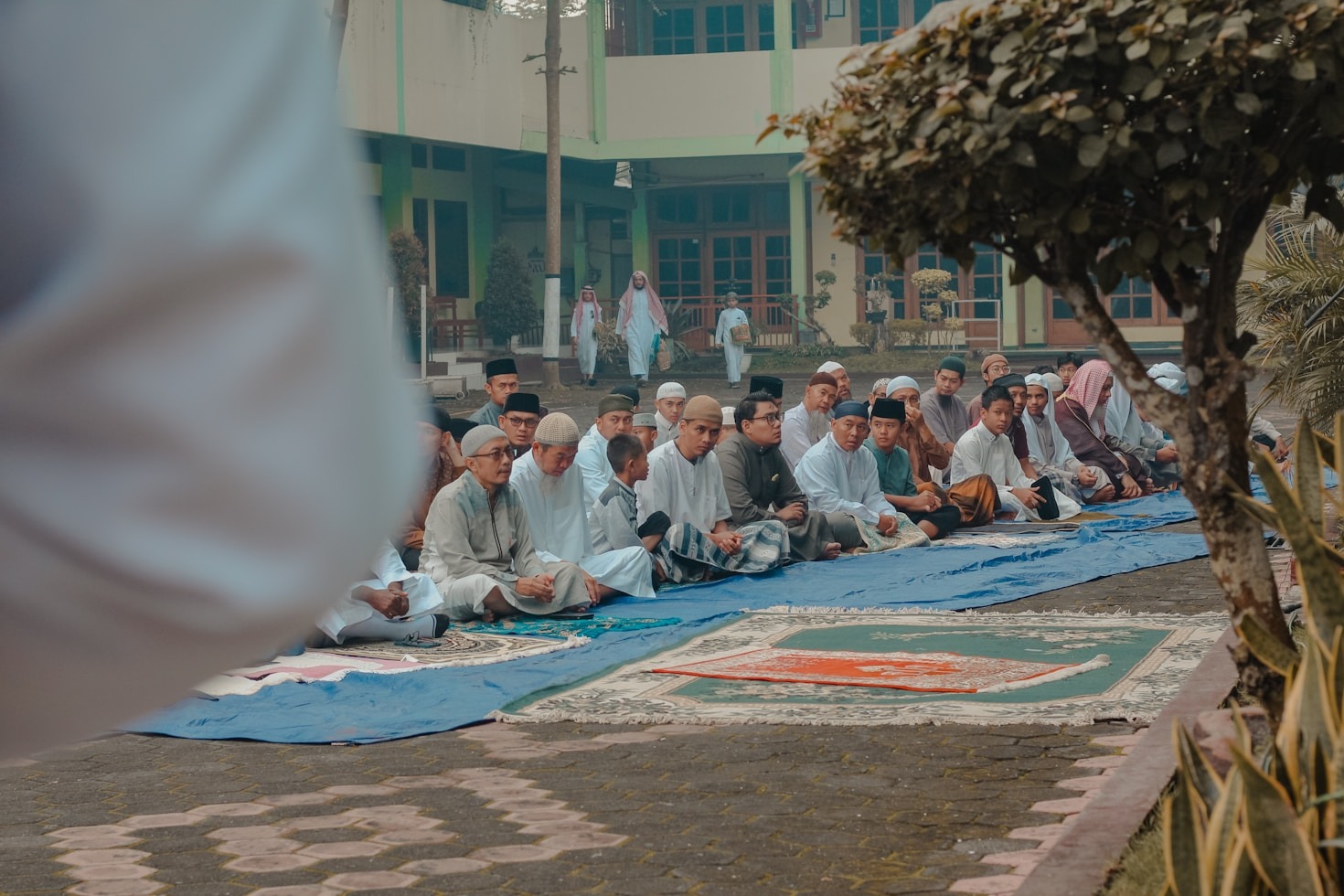 Ways to Support and Engage with Our Mission